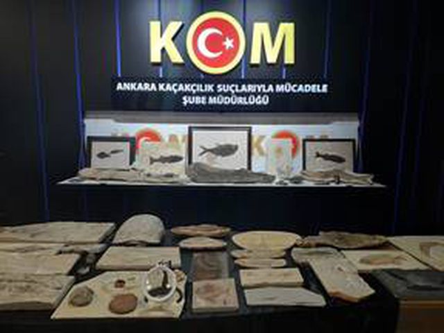Adnan Oktar'ın Ankara'daki evlerinden 10 milyon dolarlık fosil çıktı
