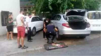 Anne kedi, yavrusu kurtarılırken bir an olsun başından ayrılmadı Anne kedi, yavrusu kurtarılırken bir an olsun başından ayrılmadı