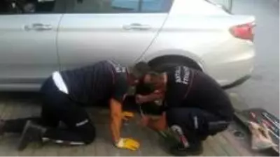 Anne kedi, yavrusu kurtarılırken bir an olsun başından ayrılmadı Anne kedi, yavrusu kurtarılırken bir an olsun başından ayrılmadı