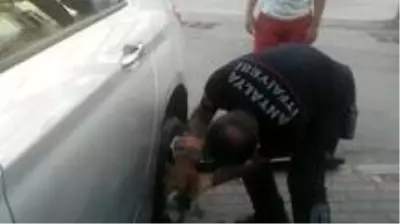 Anne kedi, yavrusu kurtarılırken bir an olsun başından ayrılmadı Anne kedi, yavrusu kurtarılırken bir an olsun başından ayrılmadı