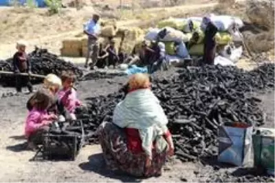 Annesinin bohçasında hayat: Sırtta 16 aylık bebekle ekmek mücadelesi Annesinin bohçasında hayat: Sırtta 16 aylık bebekle ekmek mücadelesi