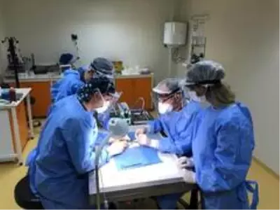 BAÜN-DEHAM, Bilimsel Üretkenlik Yarışında Akademisyenlerin Yanında BAÜN-DEHAM, Bilimsel Üretkenlik Yarışında Akademisyenlerin Yanında