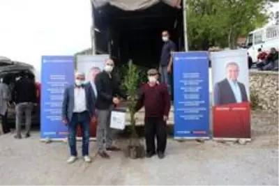 Büyükşehir, Manavgat'ta defne fidanı yardımı yaptı Büyükşehir, Manavgat'ta defne fidanı yardımı yaptı