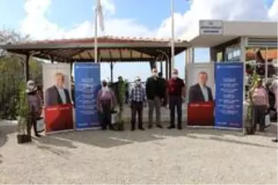 Büyükşehir, Manavgat'ta defne fidanı yardımı yaptı