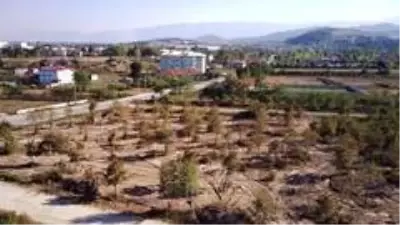 Cumayeri Belediyesi Millet Bahçesi çalışmalarına başladı Cumayeri Belediyesi Millet Bahçesi çalışmalarına başladı