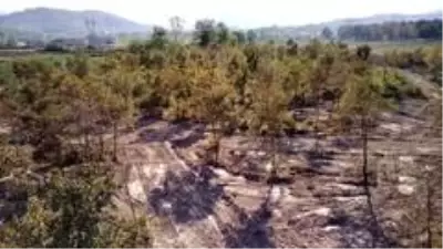 Cumayeri Belediyesi Millet Bahçesi çalışmalarına başladı Cumayeri Belediyesi Millet Bahçesi çalışmalarına başladı