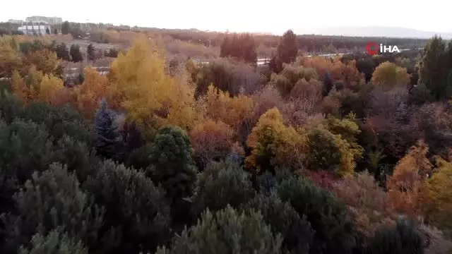 Erzurum'da sonbaharın eşsiz manzarası mest etti