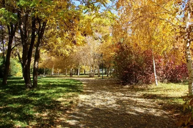 Erzurum'da sonbaharın eşsiz manzarası mest etti