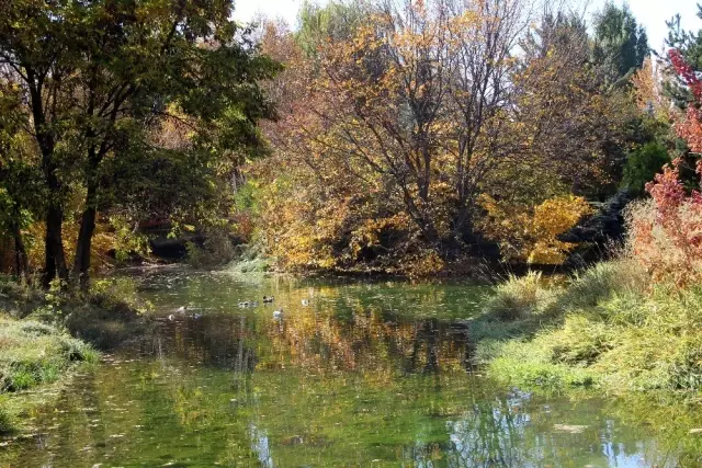 Erzurum'da sonbaharın eşsiz manzarası mest etti