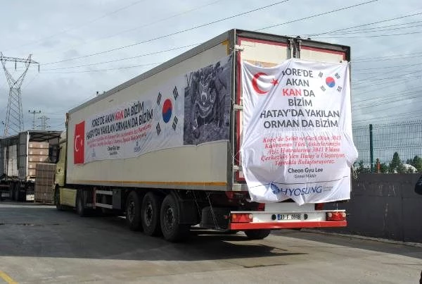 Güney Koreli firmadan Hatay'a 3 bin 43 zeytin fidanı