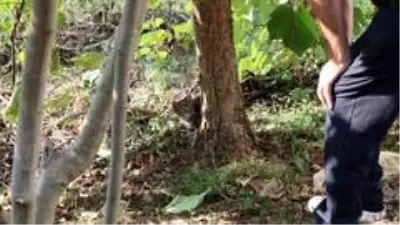 İtfaiye ekipleri yavru kediyi kurtardı İtfaiye ekipleri yavru kediyi kurtardı