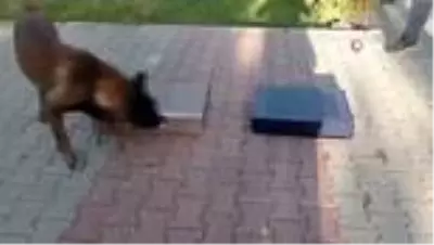 Son dakika! Jandarmadan hediye paketine gizlenen uyuşturucu sevkiyatına darbe Son dakika! Jandarmadan hediye paketine gizlenen uyuşturucu sevkiyatına darbe