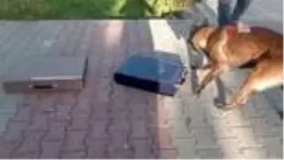 Son dakika! Jandarmadan hediye paketine gizlenen uyuşturucu sevkiyatına darbe Son dakika! Jandarmadan hediye paketine gizlenen uyuşturucu sevkiyatına darbe