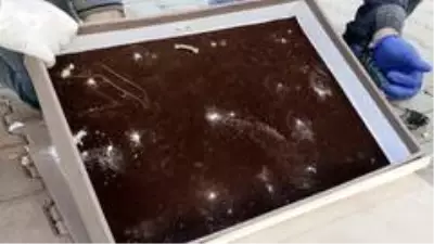 Son dakika! Jandarmadan hediye paketine gizlenen uyuşturucu sevkiyatına darbe Son dakika! Jandarmadan hediye paketine gizlenen uyuşturucu sevkiyatına darbe