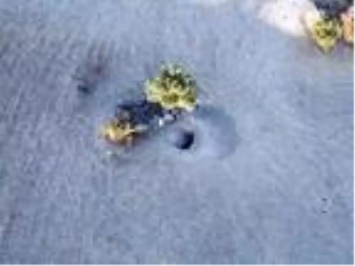 Son dakika: Kaçak kazı yapanlara jandarmadan dronla suçüstü