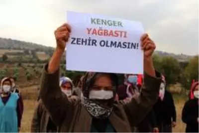 Kurulmak istenen hindi çiftliğine iki mahalle halkı karşı çıktı Kurulmak istenen hindi çiftliğine iki mahalle halkı karşı çıktı