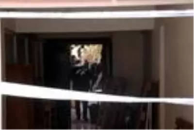 Onarmak için çıktığı çatıdan düşen eski genel müdür öldü Onarmak için çıktığı çatıdan düşen eski genel müdür öldü