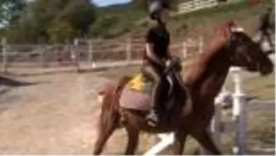 Pandemi sürecinde ata binmek ruhsal ve fiziksel olarak terapi sağlıyor- Sakarya Atlı Spor Köyü Yönetim Kurulu Başkanı Fatih Önsoy: - 'Atın hem... Pandemi sürecinde ata binmek ruhsal ve fiziksel olarak terapi sağlıyor- Sakarya Atlı Spor Köyü Yönetim Kurulu Başkanı Fatih Önsoy: - 'Atın hem...