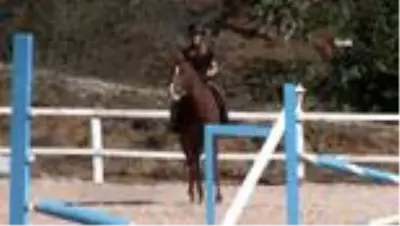 Pandemi sürecinde ata binmek ruhsal ve fiziksel olarak terapi sağlıyor- Sakarya Atlı Spor Köyü Yönetim Kurulu Başkanı Fatih Önsoy: - 'Atın hem... Pandemi sürecinde ata binmek ruhsal ve fiziksel olarak terapi sağlıyor- Sakarya Atlı Spor Köyü Yönetim Kurulu Başkanı Fatih Önsoy: - 'Atın hem...