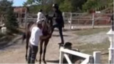 Pandemi sürecinde ata binmek ruhsal ve fiziksel olarak terapi sağlıyor- Sakarya Atlı Spor Köyü Yönetim Kurulu Başkanı Fatih Önsoy: - 'Atın hem... Pandemi sürecinde ata binmek ruhsal ve fiziksel olarak terapi sağlıyor- Sakarya Atlı Spor Köyü Yönetim Kurulu Başkanı Fatih Önsoy: - 'Atın hem...