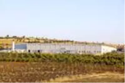 Savur'a 2 bin 500 kişiye istihdam sağlayacak tekstil fabrikası; hedef yüzde 80 kadın istihdamı Savur'a 2 bin 500 kişiye istihdam sağlayacak tekstil fabrikası; hedef yüzde 80 kadın istihdamı