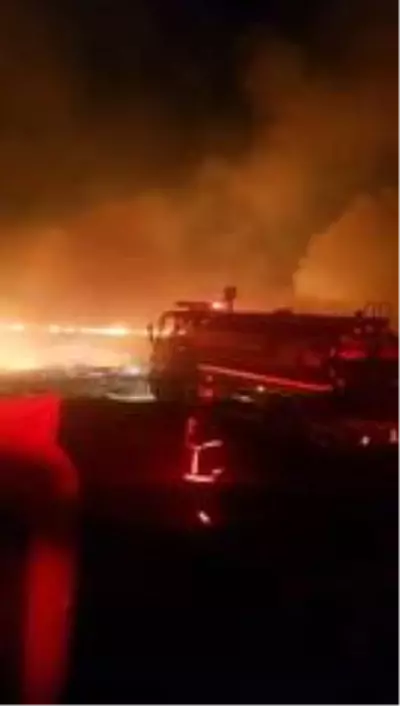Sazlık yangını söndürüldü Sazlık yangını söndürüldü