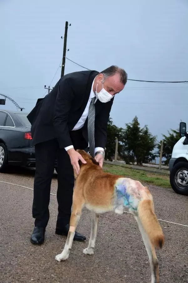 Son dakika gündem: Sinop'ta silahla vurulan sokak ...