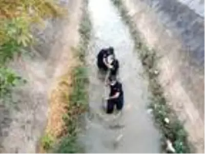Son dakika haber: Sulama kanalına düşen keçiyi itfaiye kurtardı Son dakika haber: Sulama kanalına düşen keçiyi itfaiye kurtardı