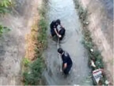 Son dakika haber: Sulama kanalına düşen keçiyi itfaiye kurtardı Son dakika haber: Sulama kanalına düşen keçiyi itfaiye kurtardı
