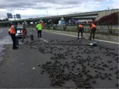 Tırın üzerindeki yüzlerce somun yola saçıldı Tırın üzerindeki yüzlerce somun yola saçıldı