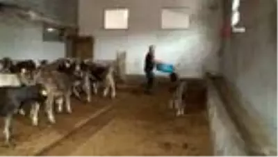 Tüketen değil üreten olmak istedi, 40 yıl sonra köyüne geri döndü Tüketen değil üreten olmak istedi, 40 yıl sonra köyüne geri döndü