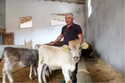 Tüketen değil üreten olmak istedi, 40 yıl sonra köyüne geri döndü Tüketen değil üreten olmak istedi, 40 yıl sonra köyüne geri döndü