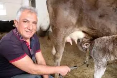 Tüketen değil üreten olmak istedi, 40 yıl sonra köyüne geri döndü Tüketen değil üreten olmak istedi, 40 yıl sonra köyüne geri döndü
