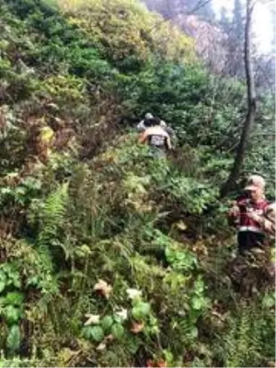 Yaban mersini toplamaya gitmişlerdi bu sabah bulundular Yaban mersini toplamaya gitmişlerdi bu sabah bulundular
