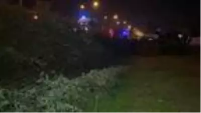 Yoldan çıkan kamyonet, toprak yığınına çarptı: 2 yaralı Yoldan çıkan kamyonet, toprak yığınına çarptı: 2 yaralı