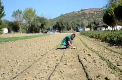 Adabahçe'de kış hazırlıkları başladı Adabahçe'de kış hazırlıkları başladı