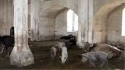 Azerbaycan askerleri Ermenilerin yaptığı alçaklığı gözler önüne serdi! Tarihi camiyi domuz ahırına çevirmişler Azerbaycan askerleri Ermenilerin yaptığı alçaklığı gözler önüne serdi! Tarihi camiyi domuz ahırına çevirmişler