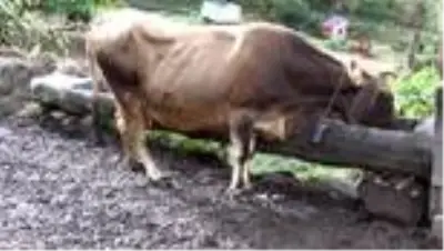 Bu aile her şeyini 'Devlet'e borçlu Bu aile her şeyini 'Devlet'e borçlu