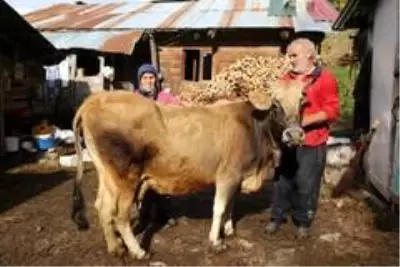 28'nci kez doğum yapacak! Bu aile her şeyini 'Devlet'e borçlu 28'nci kez doğum yapacak! Bu aile her şeyini 'Devlet'e borçlu