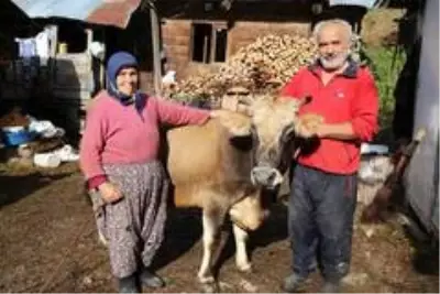 28'nci kez doğum yapacak! Bu aile her şeyini 'Devlet'e borçlu 28'nci kez doğum yapacak! Bu aile her şeyini 'Devlet'e borçlu