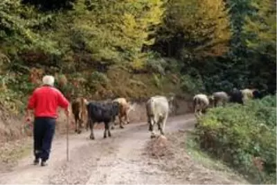 28'nci kez doğum yapacak! Bu aile her şeyini 'Devlet'e borçlu 28'nci kez doğum yapacak! Bu aile her şeyini 'Devlet'e borçlu
