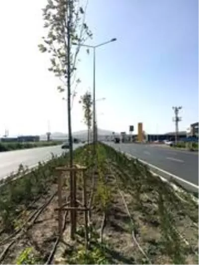 Kayseri'den kısa kısa Kayseri'den kısa kısa