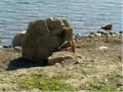 Çorum'da baraj gölünde, kadın cesedi bulundu (2) Çorum'da baraj gölünde, kadın cesedi bulundu (2)