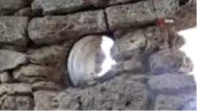 Elazığ'da zamana direnen 800 yıllık manastır restore edilmeyi bekliyor Elazığ'da zamana direnen 800 yıllık manastır restore edilmeyi bekliyor
