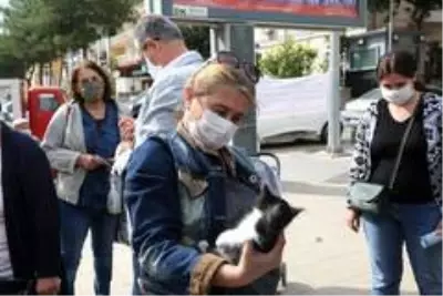 Gaziemir'de sokak hayvanları yeni yuvalarına kavuştu Gaziemir'de sokak hayvanları yeni yuvalarına kavuştu
