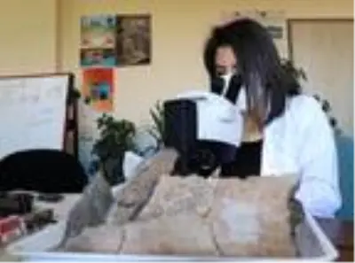 İremir Höyüğü'nde 5 bin yıl öncesine ait yaşam izleri inceleniyor İremir Höyüğü'nde 5 bin yıl öncesine ait yaşam izleri inceleniyor