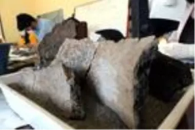 İremir Höyüğü'nde 5 bin yıl öncesine ait yaşam izleri inceleniyor İremir Höyüğü'nde 5 bin yıl öncesine ait yaşam izleri inceleniyor