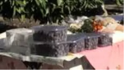 İzmir'de 'Uygulamalı Çiftçi Okulu' açıldı İzmir'de 'Uygulamalı Çiftçi Okulu' açıldı