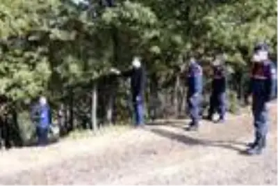Keçiler için 502 ağacın kesildiği ormanda sıkı denetim Keçiler için 502 ağacın kesildiği ormanda sıkı denetim