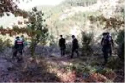 Keçiler için 502 ağacın kesildiği ormanda sıkı denetim Keçiler için 502 ağacın kesildiği ormanda sıkı denetim